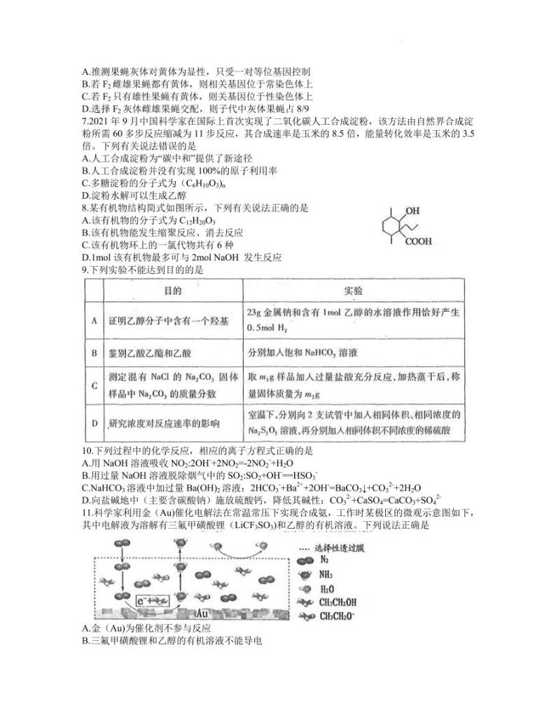 2022届江西省南昌市高三下学期3月第一次模拟考试 理综 PDF版02