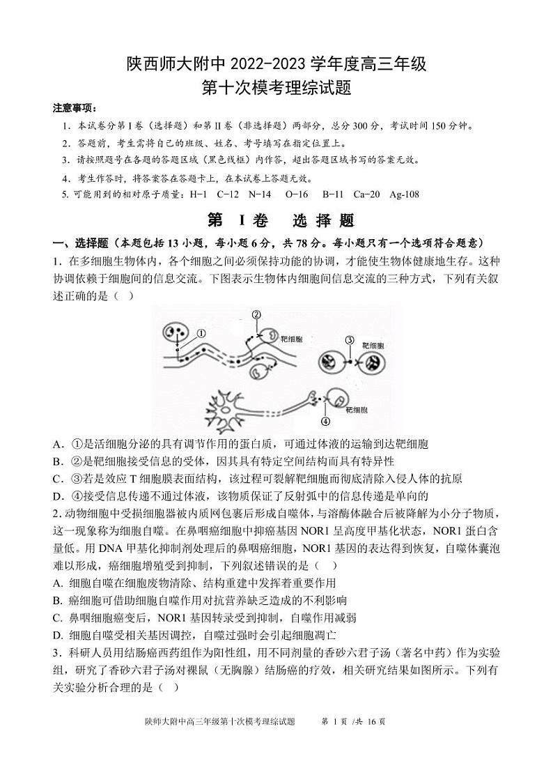 陕西师大附中2023届高三下学期第十次模拟考试 理综第1页