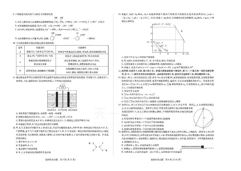 2023天一大联考安徽卓越县中联盟高三第二次联考理综试题及答案第2页