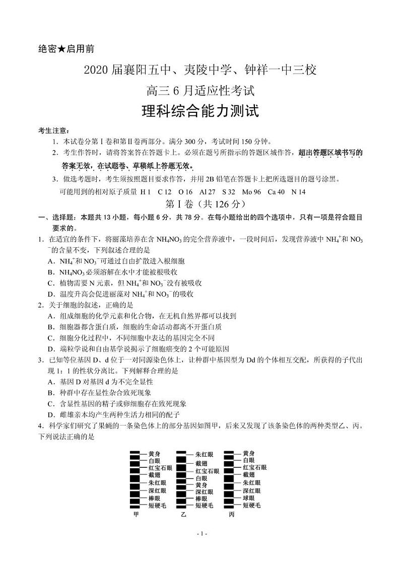 2020届湖北省(襄阳五中,夷陵中学,钟祥一中三校)高三6月适应性考试理综试题 PDF版第1页