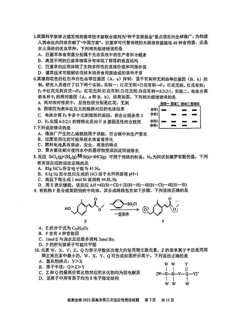 2023届广西邕衡金卷高考第三次适应性考试理综试卷及参考答案02