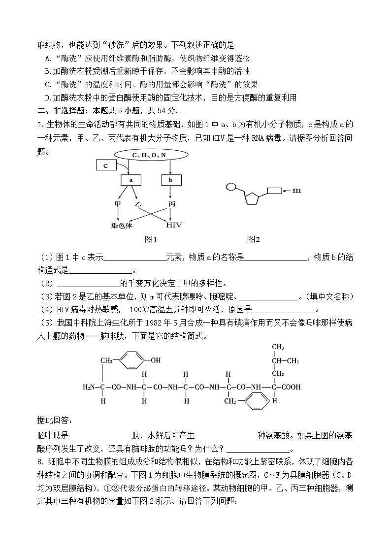 2023届四川省广元市广元中学高高二下期第二次段考理综试题02