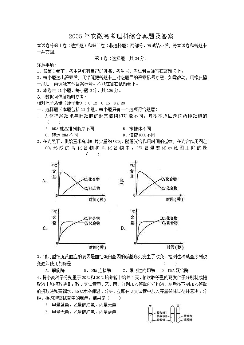2005年安徽高考理科綜合真題及答案第1頁(yè)