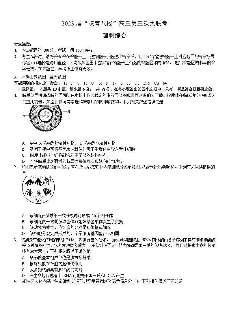 2023届安徽省皖南八校高三第三次模拟大联考理科综合试卷01