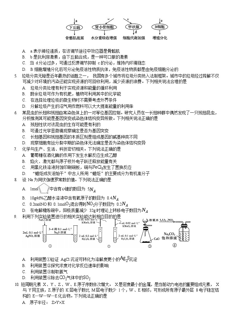 2023届安徽省皖南八校高三第三次模拟大联考理科综合试卷02