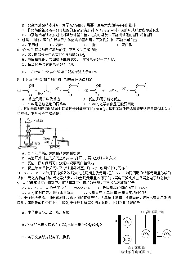 2024届四川省泸县第一中学高三上学期开学考试理综试题(Word版)第2页