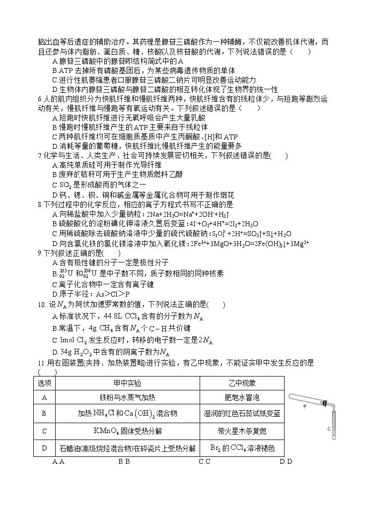 2024届四川省射洪中学高三上学期10月月考试题（补习班）理综02