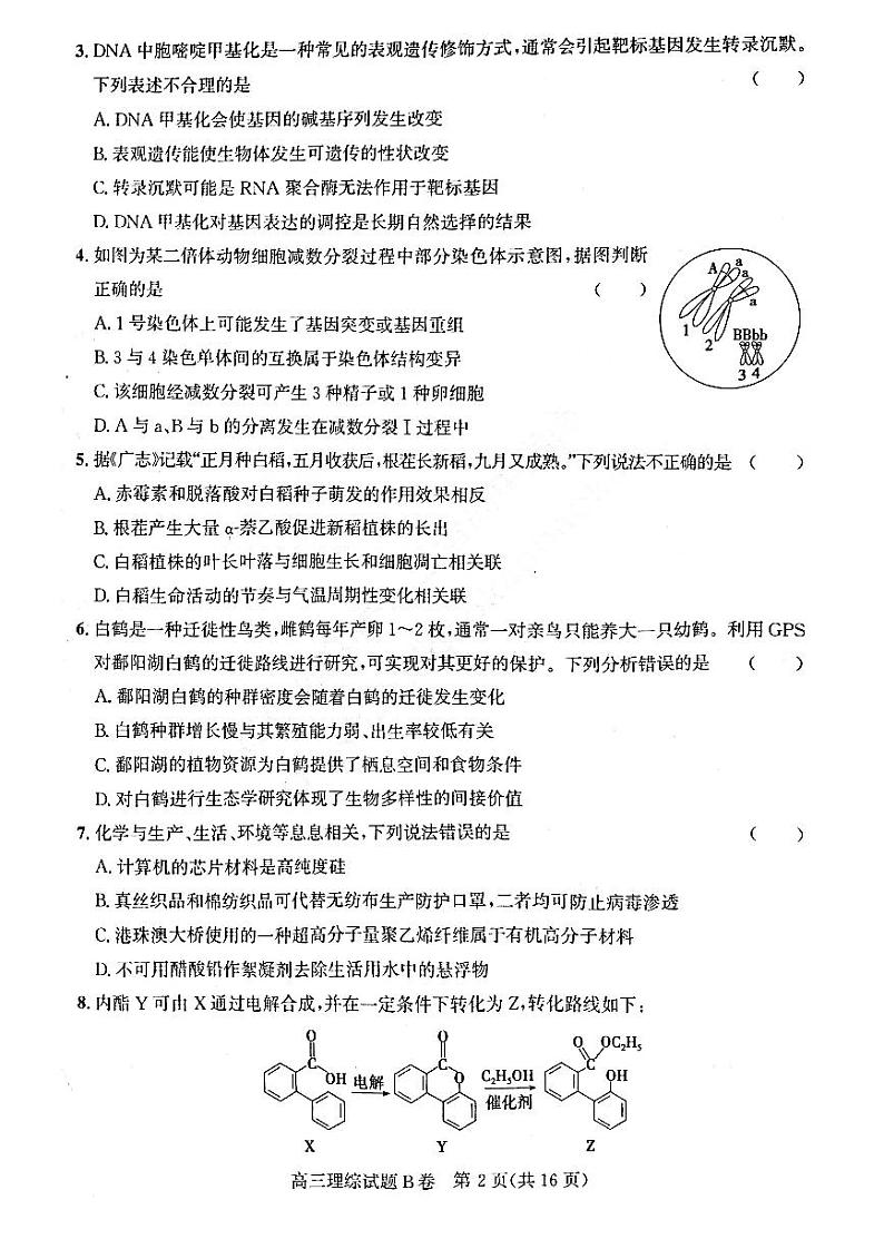 山西省2022-2023学年高三上学期1月适应性调研测试 理综试题B卷 PDF版无答案第2页