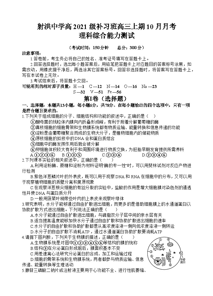 四川省射洪中学2024届高三理综上学期10月月考试题(补习班)(Word版附解析)01