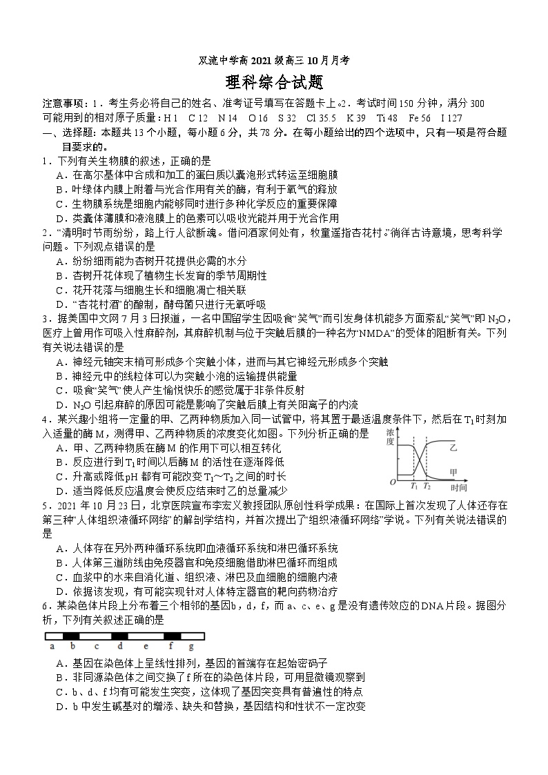 四川省成都市双流中学2023-2024学年高二理综上学期10月月考试题（Word版附答案）