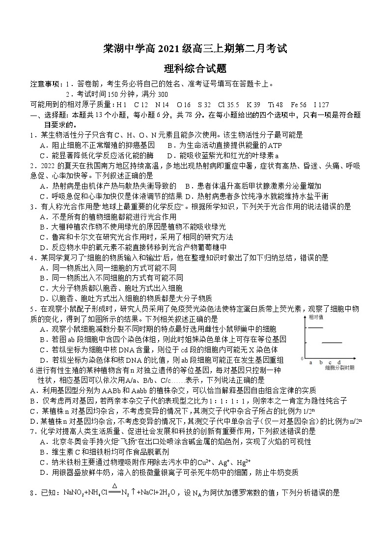 2024成都双流棠湖中学高三上学期10月月考试题理综含答案01