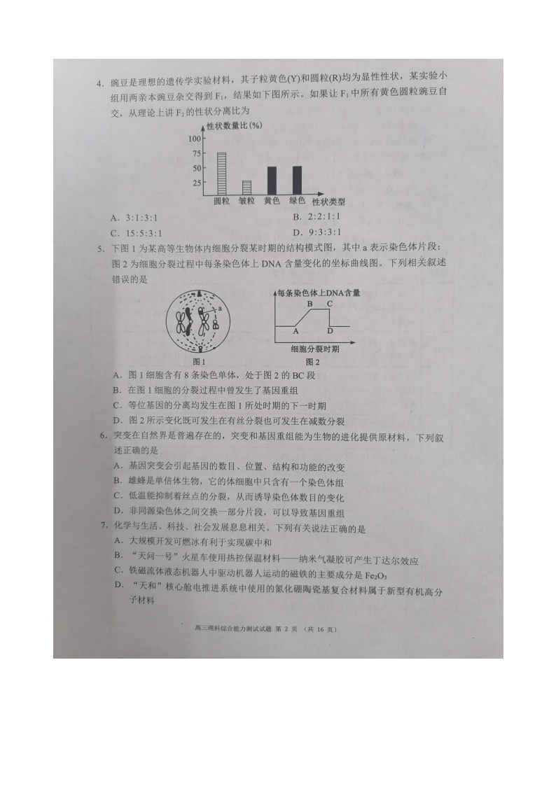 2024成都彭州高三上学期期中考试理综图片版含答案02