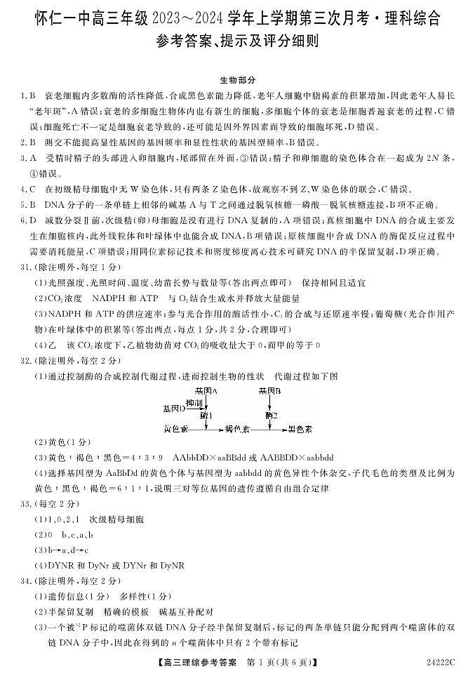 山西省朔州市怀仁市怀仁第一中学校2023-2024学年高三上学期11月月考理综答案第1页