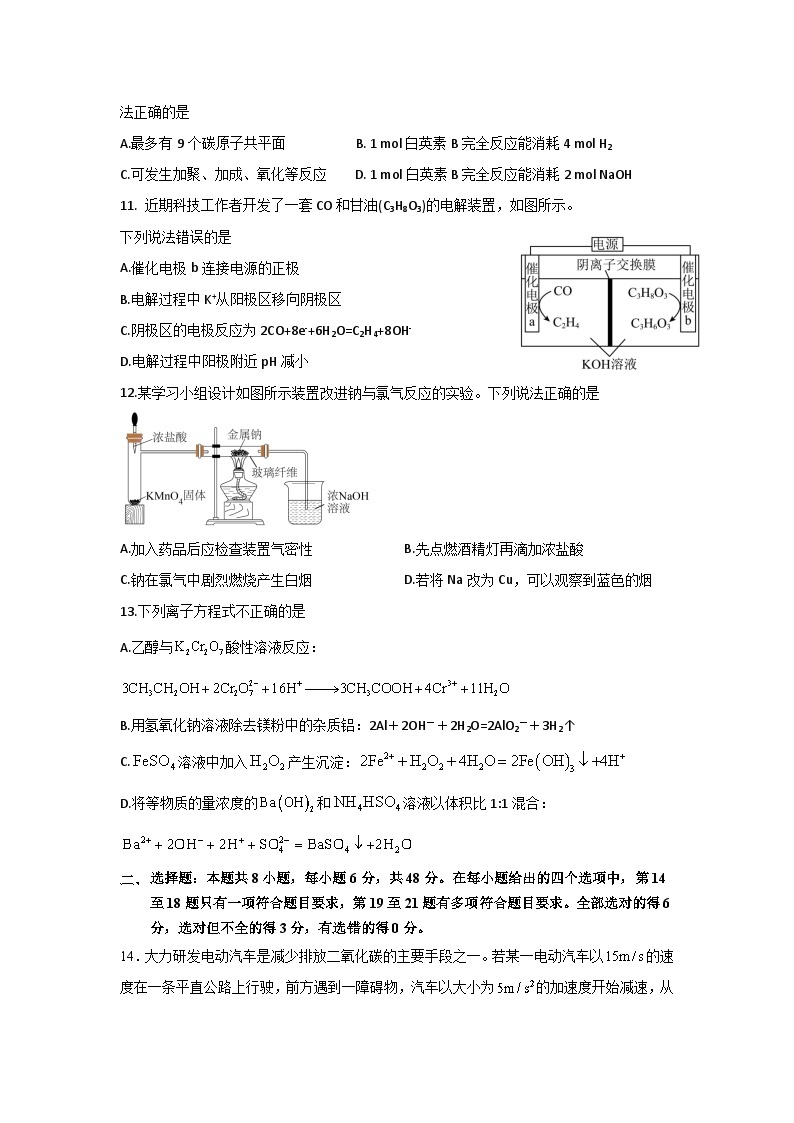 2024绵阳南山中学实验学校高三上学期10月月考（一诊模拟）理综含解析03