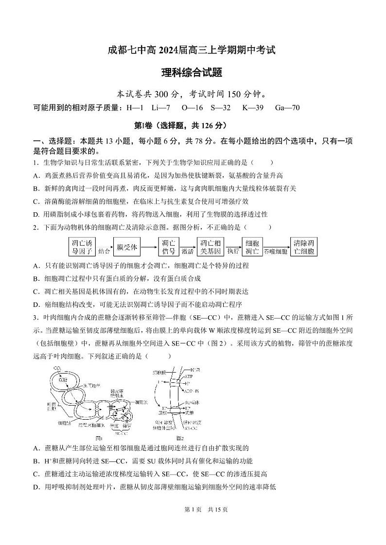 四川省成都市第七中学2023-2024学年高三上学期期中考试理科综合试题(含答案)第1页