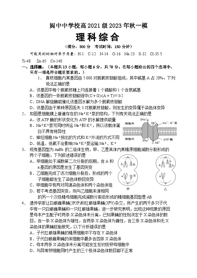 四川省南充市阆中中学校2023-2024学年高三上学期一模考试理综试题01