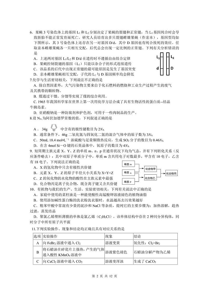 2024绵阳南山中学高三上学期12月月考试题理综PDF版含答案(可编辑)02