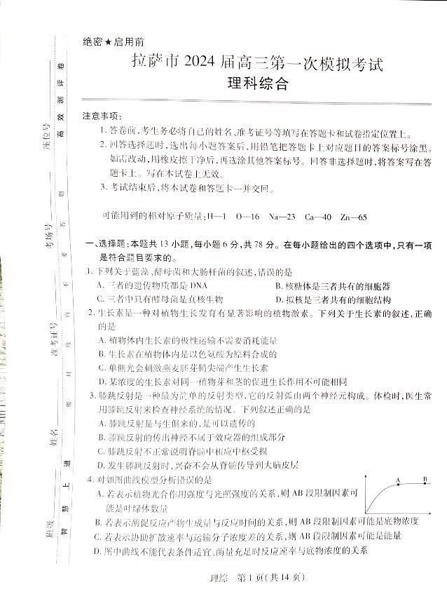 2024届西藏自治区拉萨市高三上学期第一次模拟考试理综试题和答案01