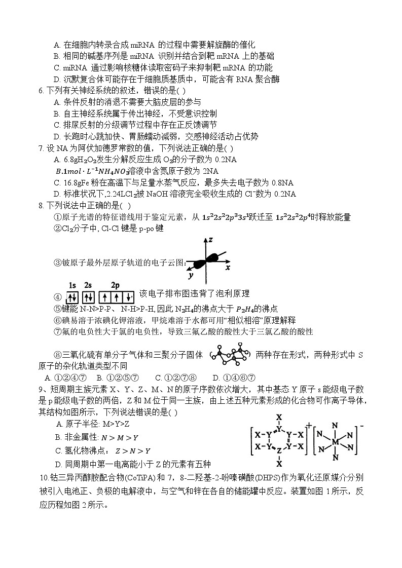 河南省南阳市第一中学校2023-2024学年高三上学期第五次月考理综试题第2页