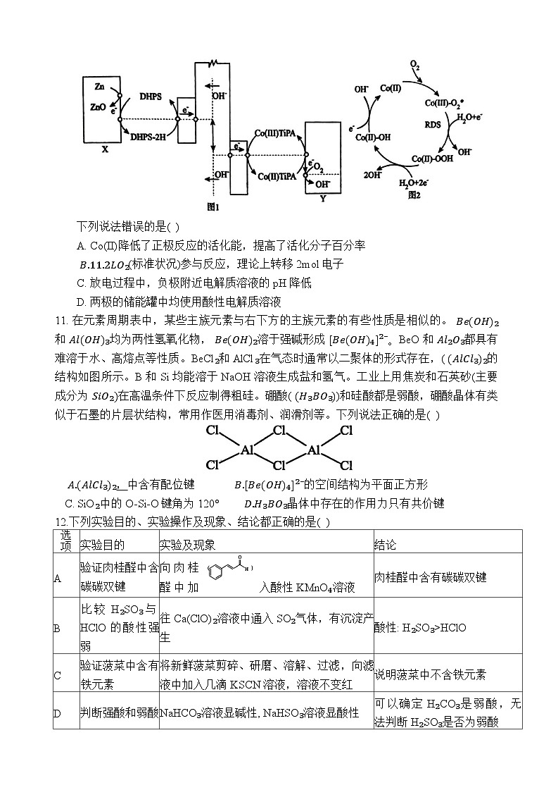 河南省南阳市第一中学校2023-2024学年高三上学期第五次月考理综试题第3页