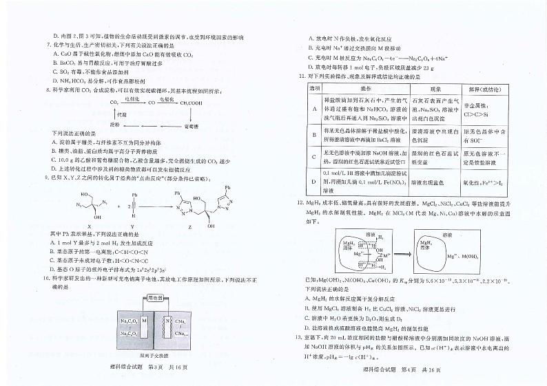 2024届高三第一次学业质量评价T8联考理综题第2页