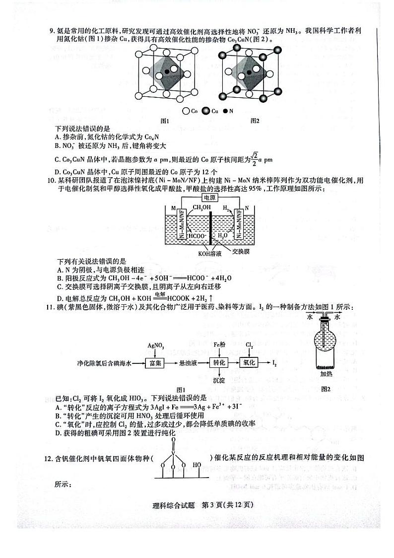 天一大联考顶尖联盟2024届高三阶段性测试(二)理综第3页