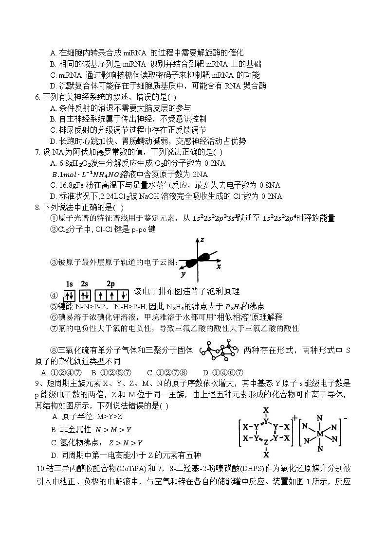 2024届河南省南阳市第一中学校高三上学期第五次月考理综试题(Word版)第2页