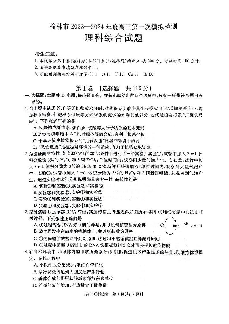 2024届陕西省榆林市高三上学期第一次模拟检测理综试题01