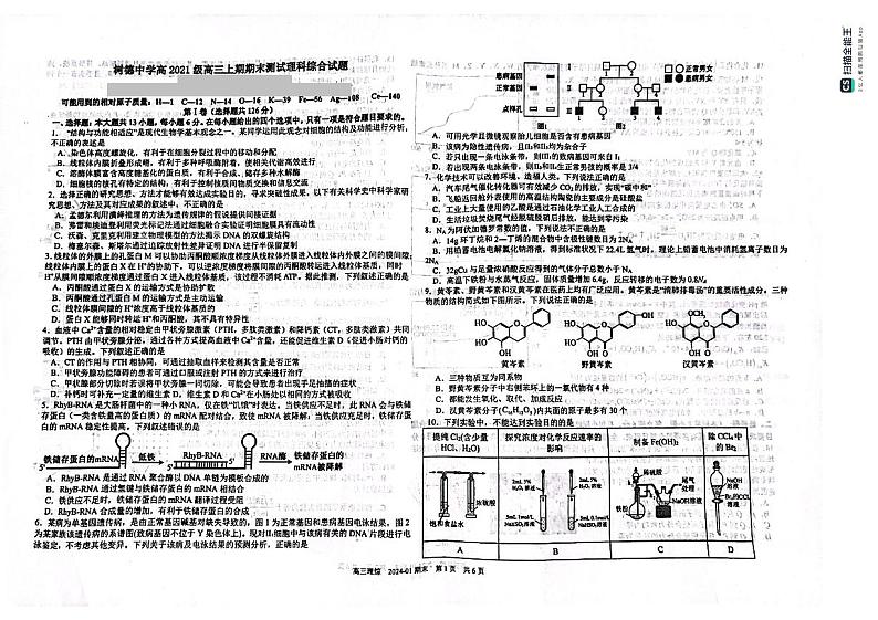 2024成都树德中学高三上学期期末考试理综PDF版含答案01