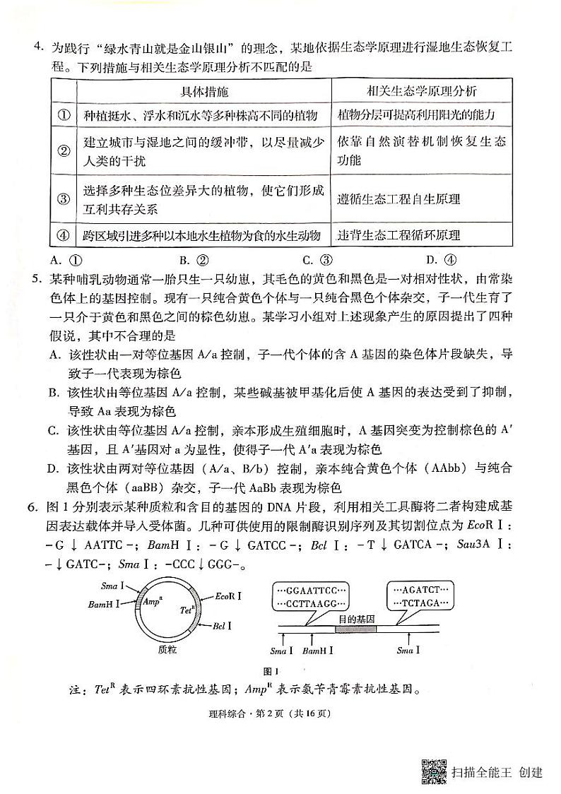 云南省保山市2023-2024学年高三上学期期末考试理综试题第2页