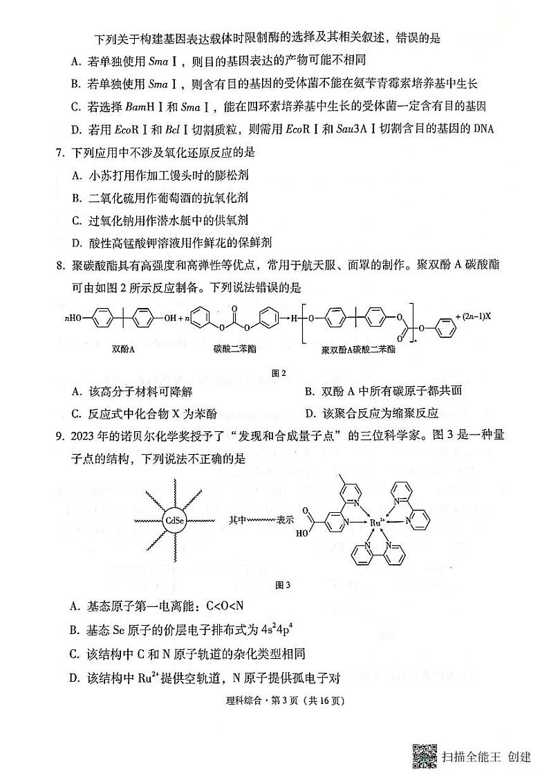 云南省保山市2023-2024学年高三上学期期末考试理综试题第3页