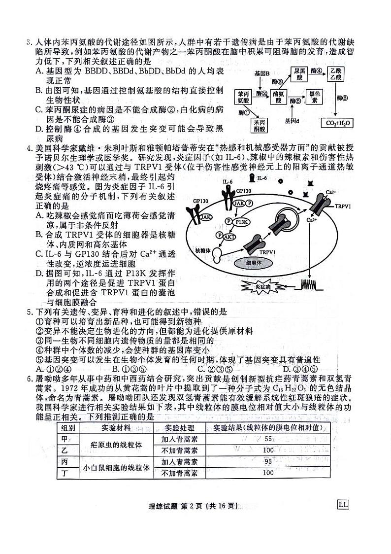 2024届衡水金卷高三2月大联考理综试题第2页
