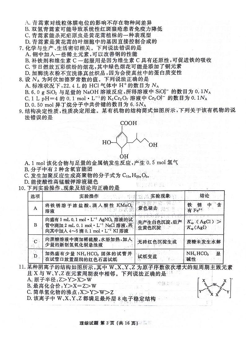 2024届衡水金卷高三2月大联考理综试题第3页