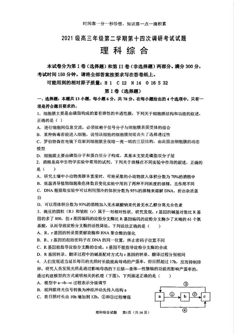 山西省晋城市第一中学2023-2024学年高三下学期开学考试理综试卷(PDF版附答案)第1页