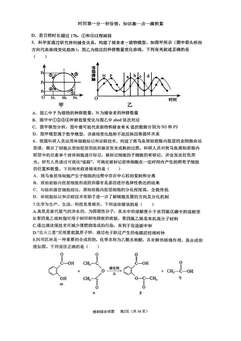 山西省晋城市第一中学2023-2024学年高三下学期开学考试理综试卷(PDF版附答案)第2页