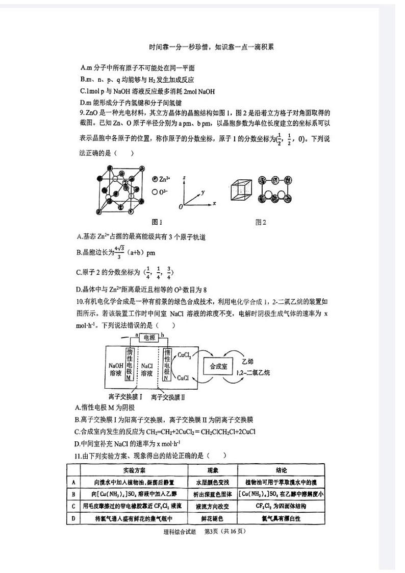 山西省晋城市第一中学2023-2024学年高三下学期开学考试理综试卷(PDF版附答案)第3页