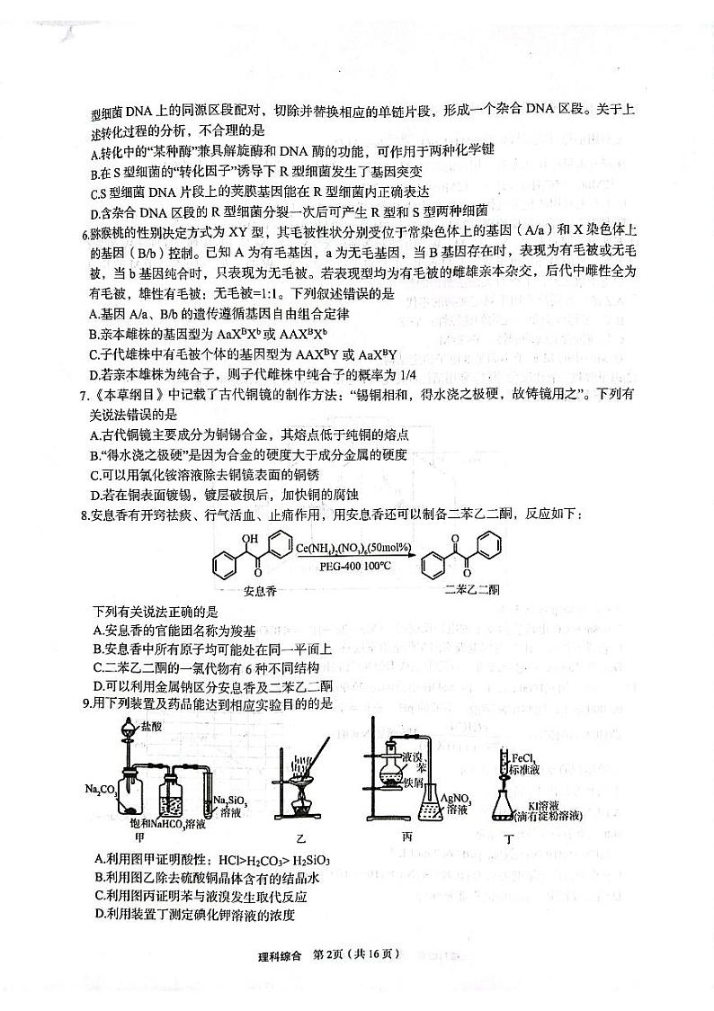 2024届陕西省安康市高三下学期第三次质量联考(三模)理综试题02
