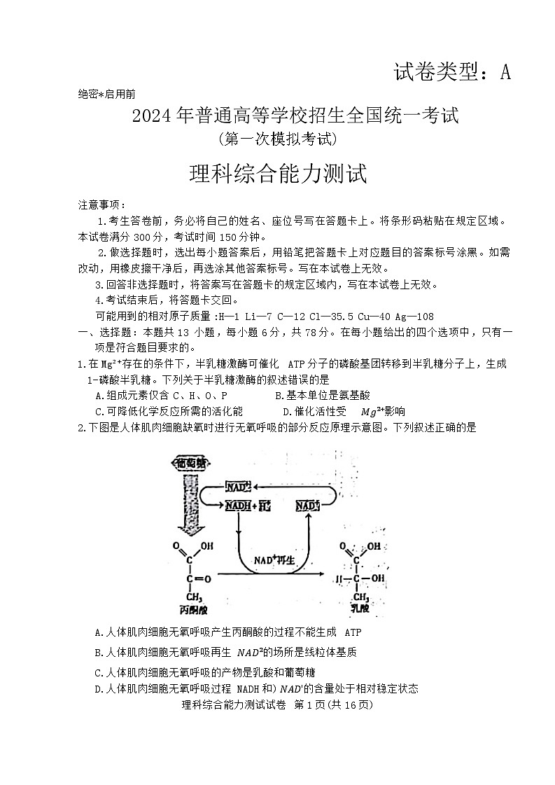 2024届内蒙古自治区包头市高三下学期一模理科综合试题第1页