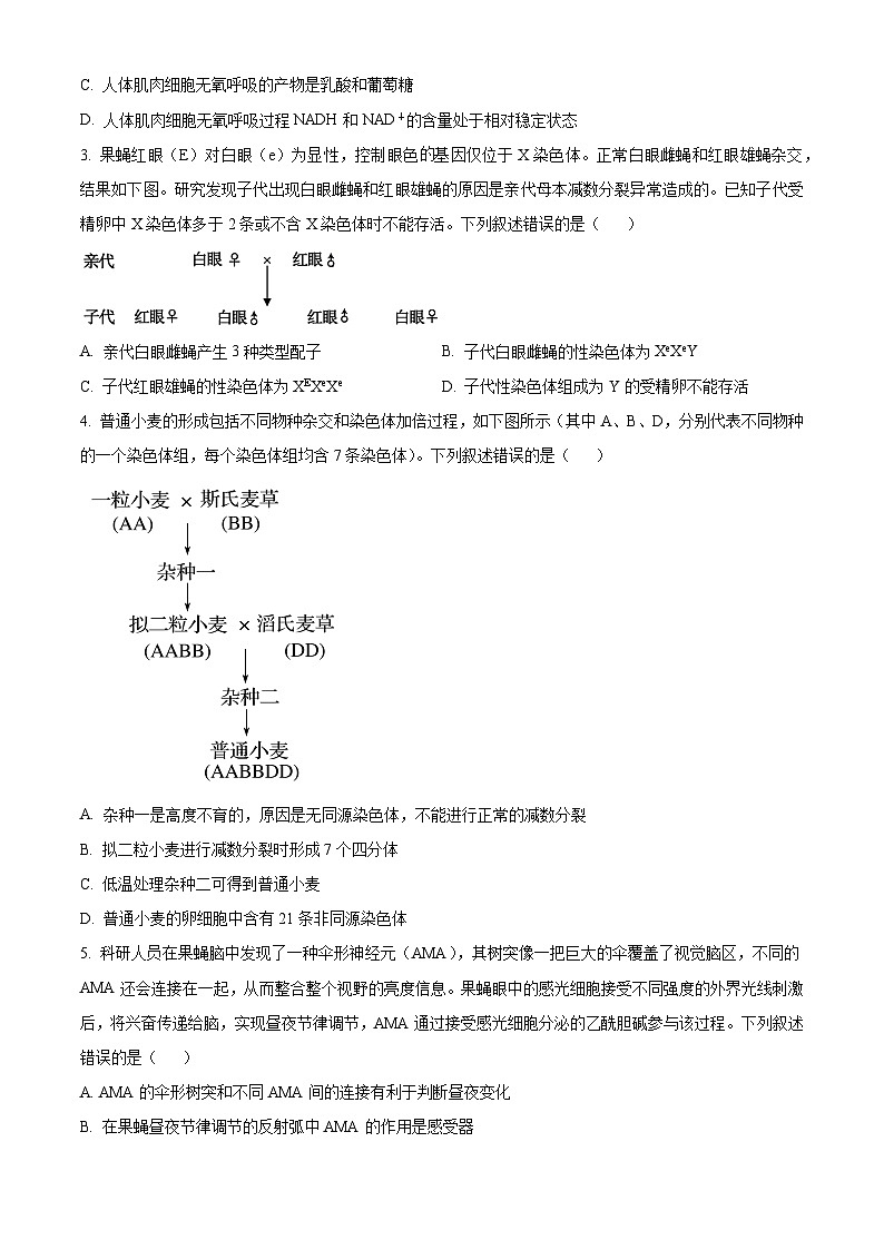 2024届内蒙古自治区包头市高三下学期一模理综生物试题(原卷版+解析版)02