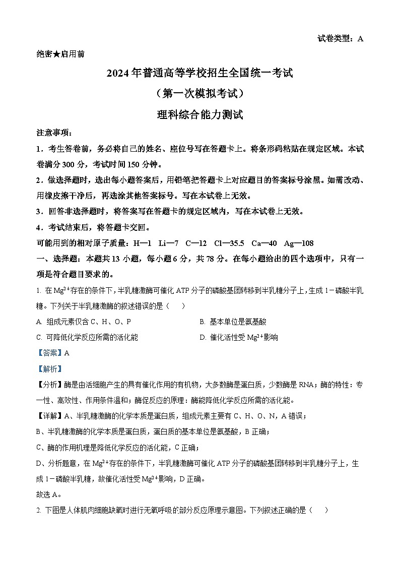 2024届内蒙古自治区包头市高三下学期一模理综生物试题(原卷版+解析版)01