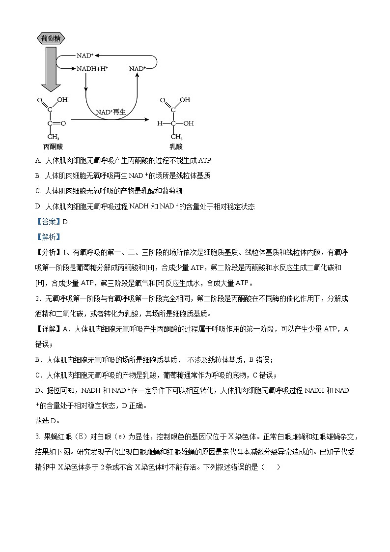 2024届内蒙古自治区包头市高三下学期一模理综生物试题(原卷版+解析版)02