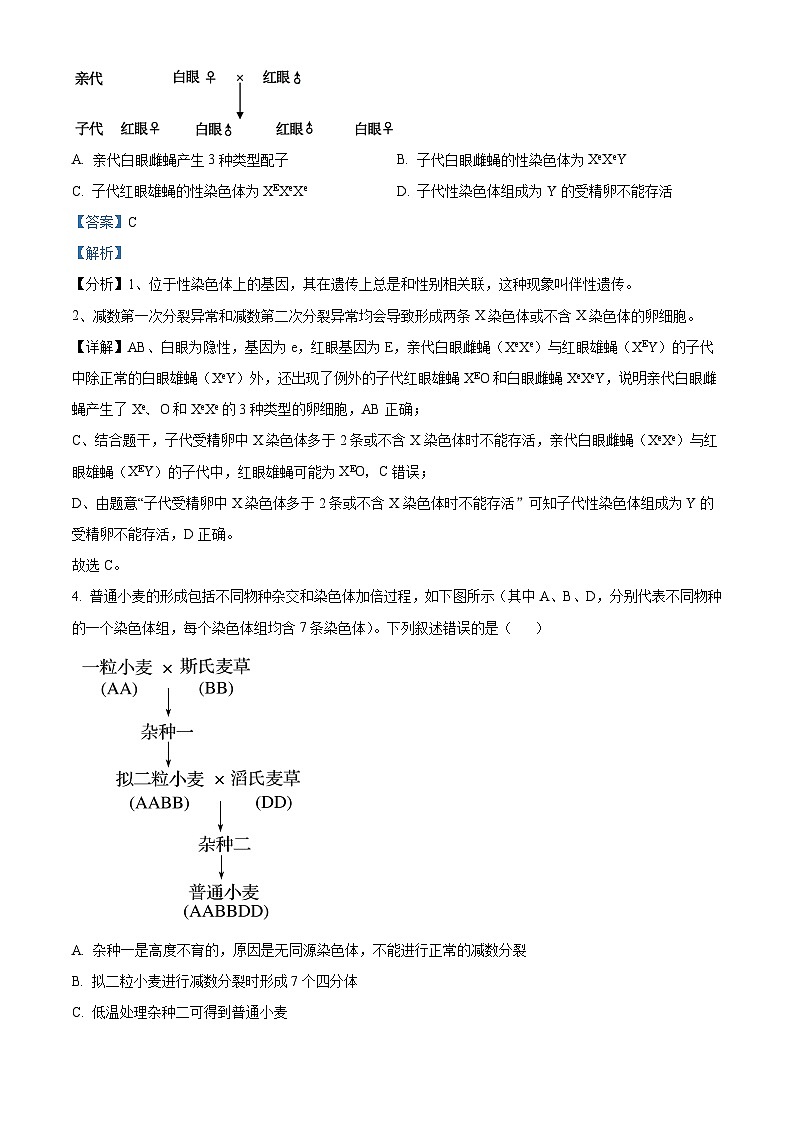 2024届内蒙古自治区包头市高三下学期一模理综生物试题(原卷版+解析版)03