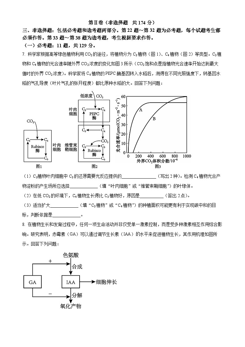 2024届陕西省榆林市十中高三下学期一模理综生物试题(原卷版+解析版)03