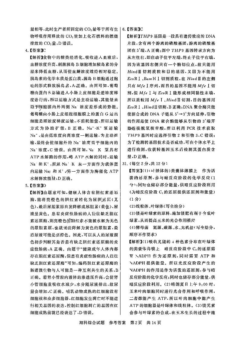 T8联考2024届山西第二次学业质量评价 理综答案第2页