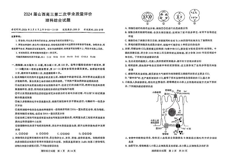 T8联考2024届山西第二次学业质量评价 理综试卷第1页