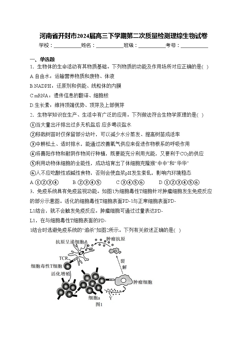 河南省开封市2024届高三下学期第二次质量检测理综生物试卷(含答案)01