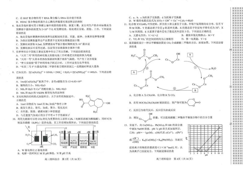 2024南阳高三上学期期末考试理综PDF版含答案02