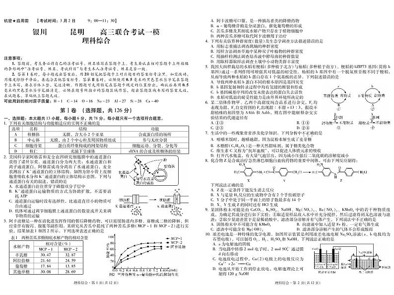 2024届宁夏银川一中、云南昆明一中高考3月联合模拟理科综合试卷01