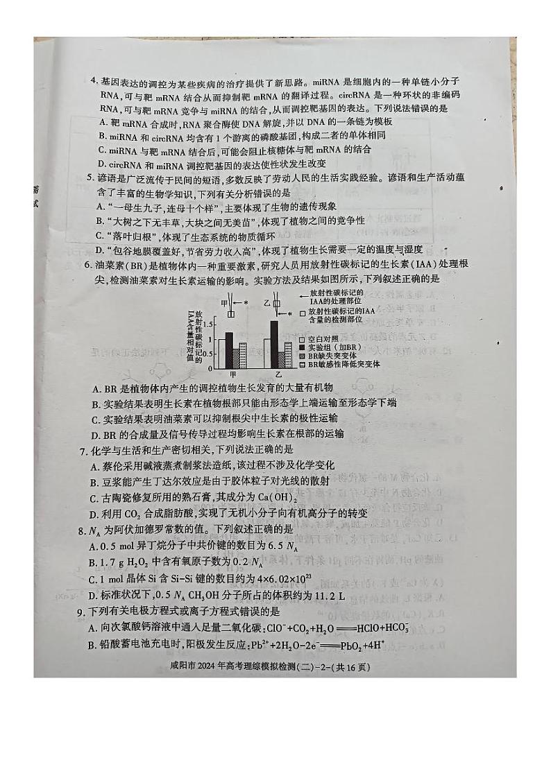 陕西省咸阳市2024届高三下学期高考模拟检测(二)理综试卷(PDF版附答案)第2页
