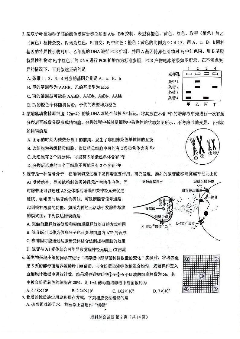 河南省郑州市名校教研联盟2024届高三下学期3月模拟预测理综试卷(PDF版附解析)第2页